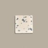 LS-13 LM4beige